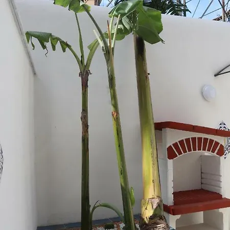 Le Torri Dell'acqua Apartament